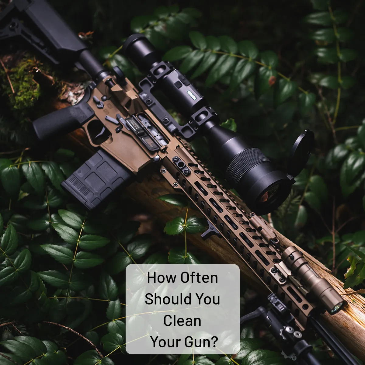 How often should you clean your gun