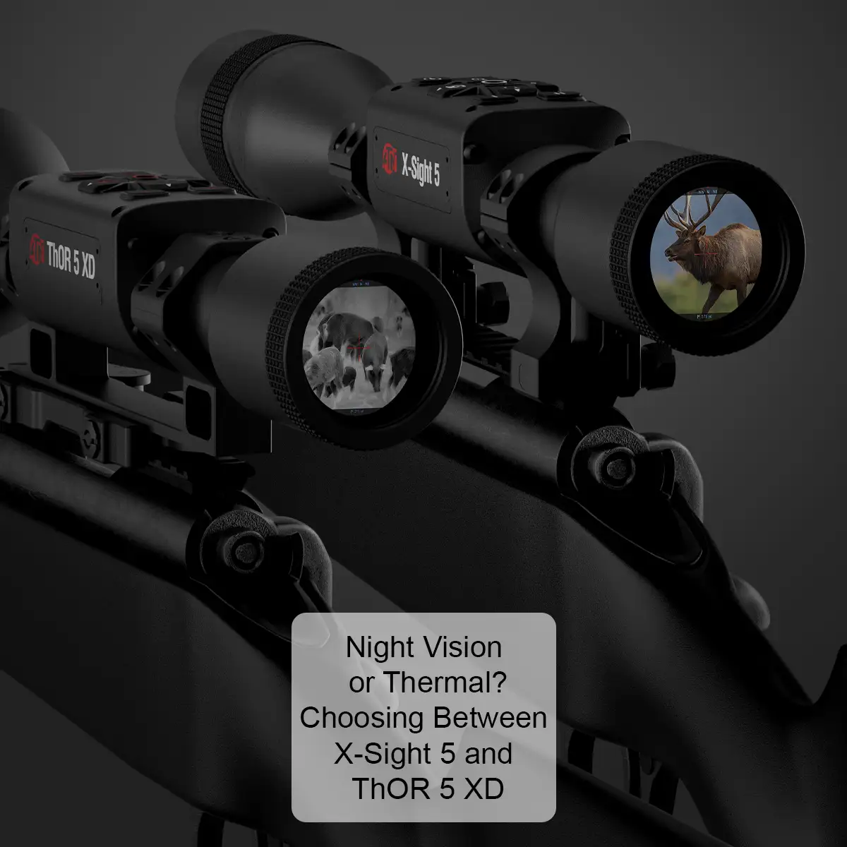 Night Vision or Thermal? Navigating the Choice Between X-Sight 5 and ThOR 5 XD