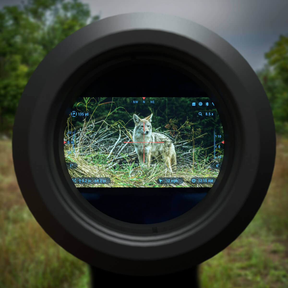 Rifle Scope Reticles: First Focal Plane Vs. Second Focal Plane