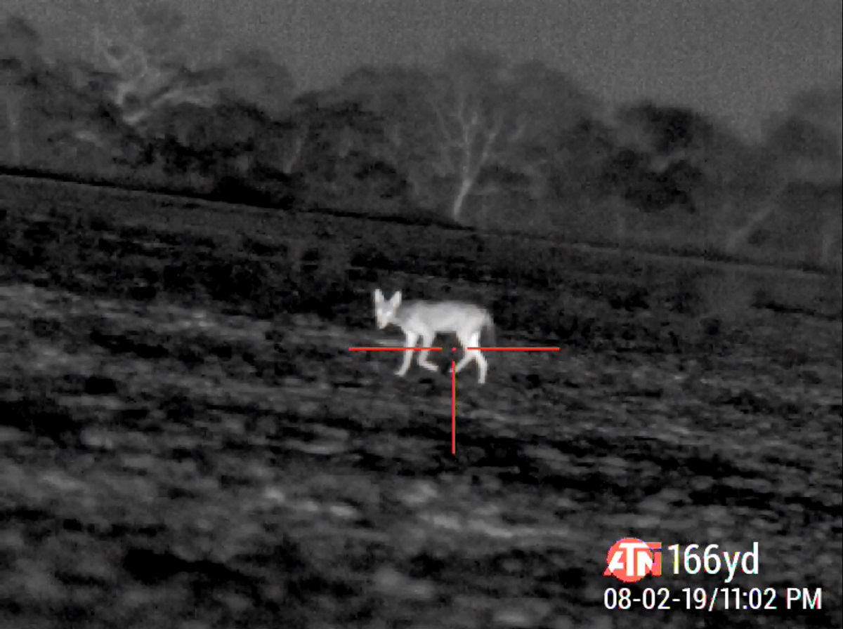 thermal-imaging-and-positive-id